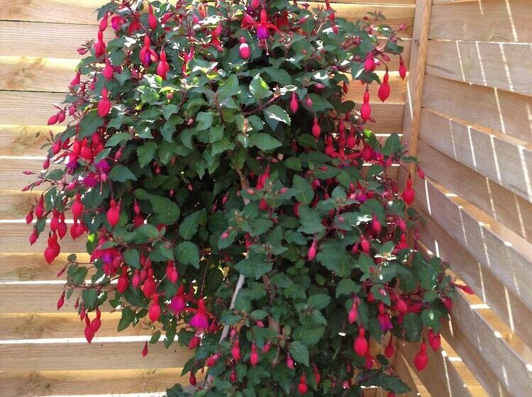 פנסיון Hine Bakke Bed And Breakfast