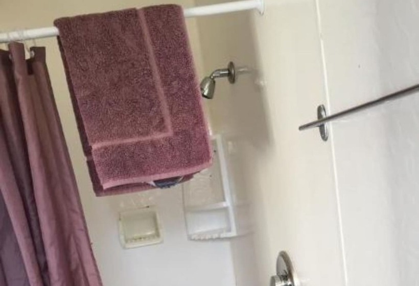 بنسيون Kokatahi Valley Country Inn