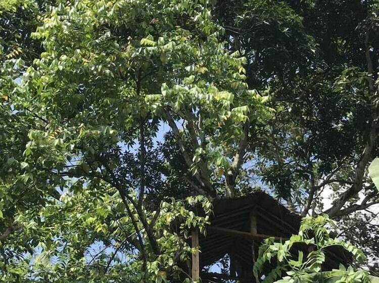 펜션 Plantation Retreat