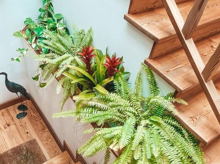 ペンション Quinta Amarela