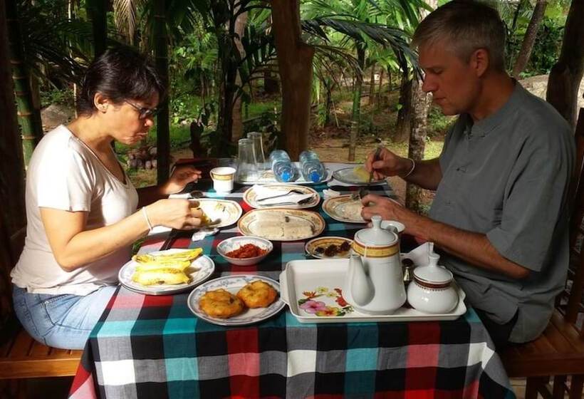 膳宿费 Serenity Sigiri Resort