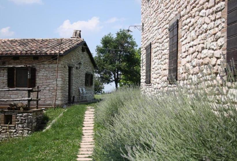 Agriturismo Valdifiori
