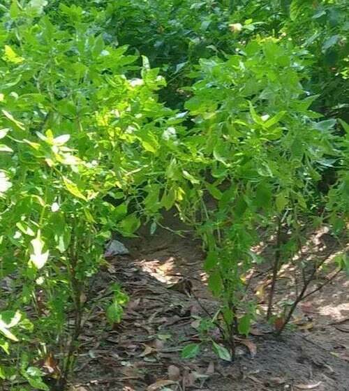 D&j Stamford Hotel   Hostel