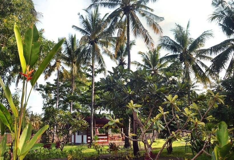 ベッドアンドブレックファースト Amigos Bungalows Gili Meno