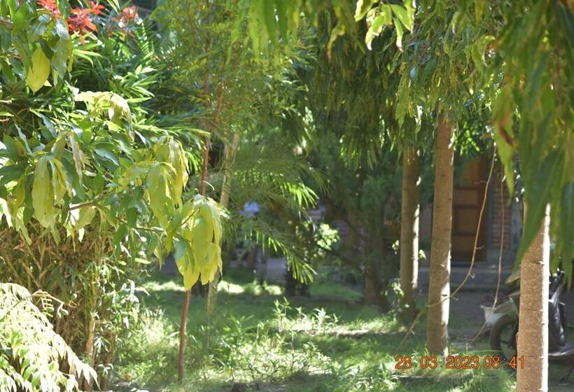 צימר Del Mar Home Stay And Cafe