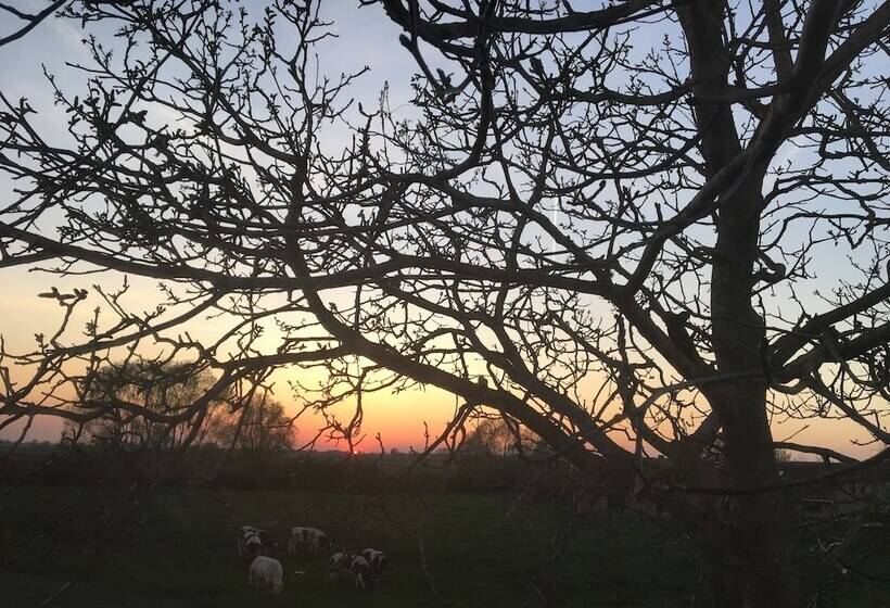 Bed and Breakfast T Wolvennest