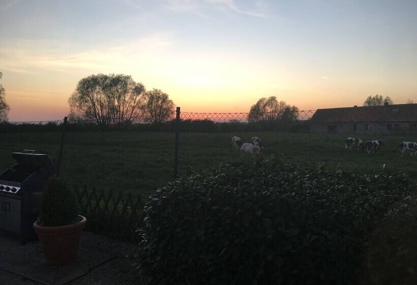 Bed and Breakfast T Wolvennest