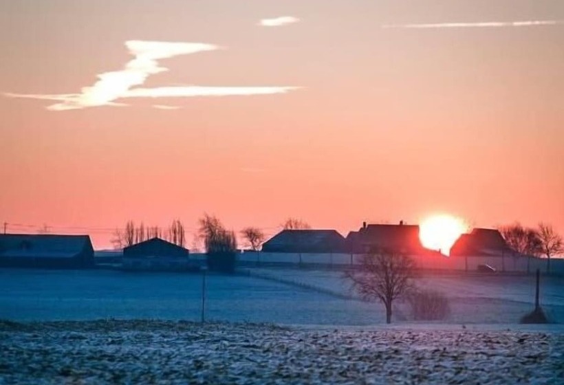 Bed and Breakfast T Wolvennest