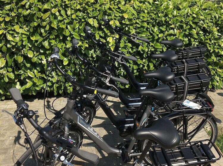 Bed and Breakfast T Wolvennest