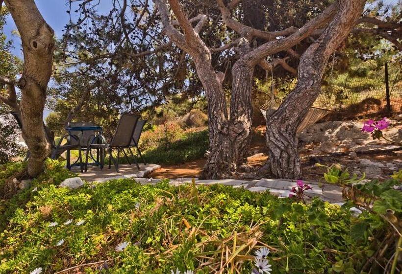 Chc Sound Of The Sea