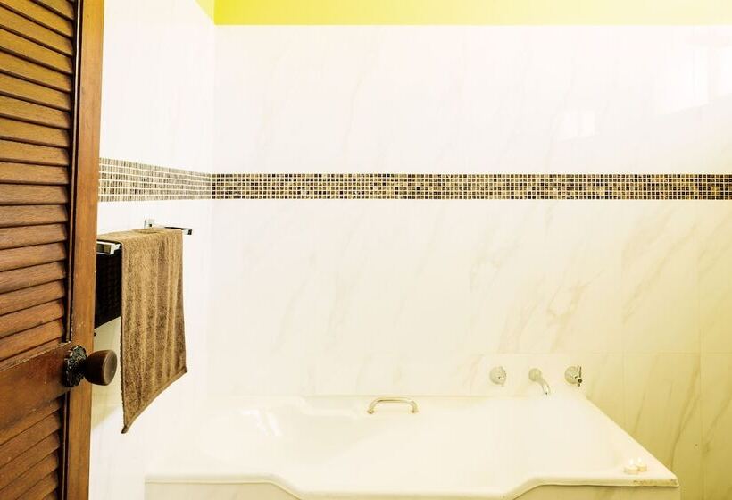 Coal D  Vine Cottage   Cessnock Nsw