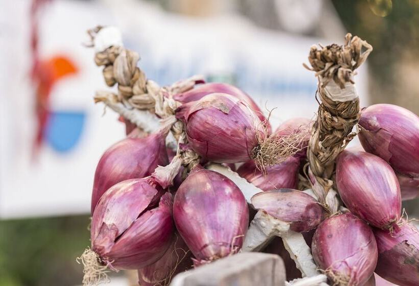 Хостел Calabrisella