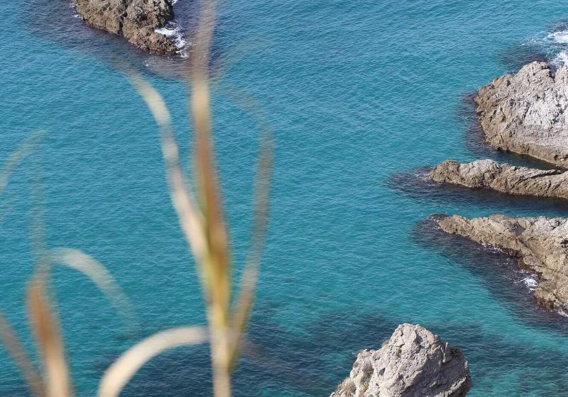 Хостел Calabrisella