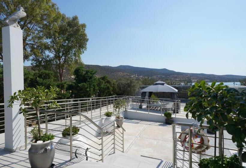 호텔 Dardiza Boutique