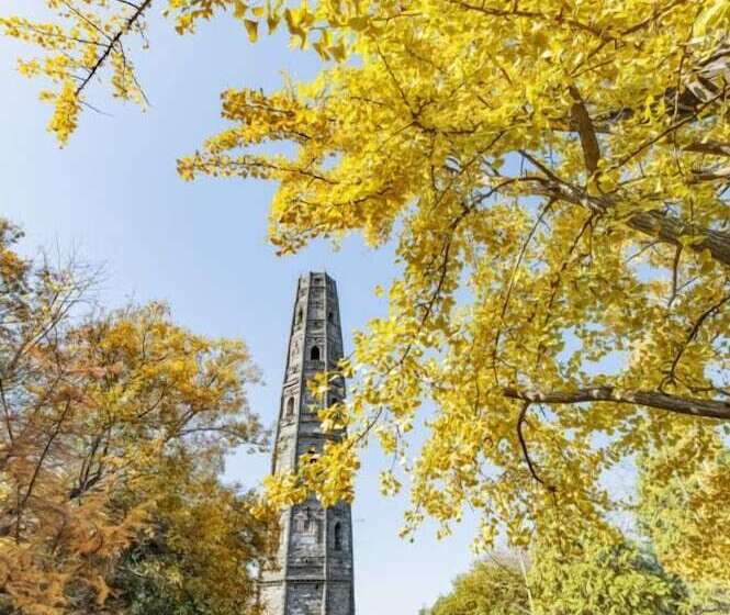 호텔 Intercontinental Shanghai Wonderland By Ihg