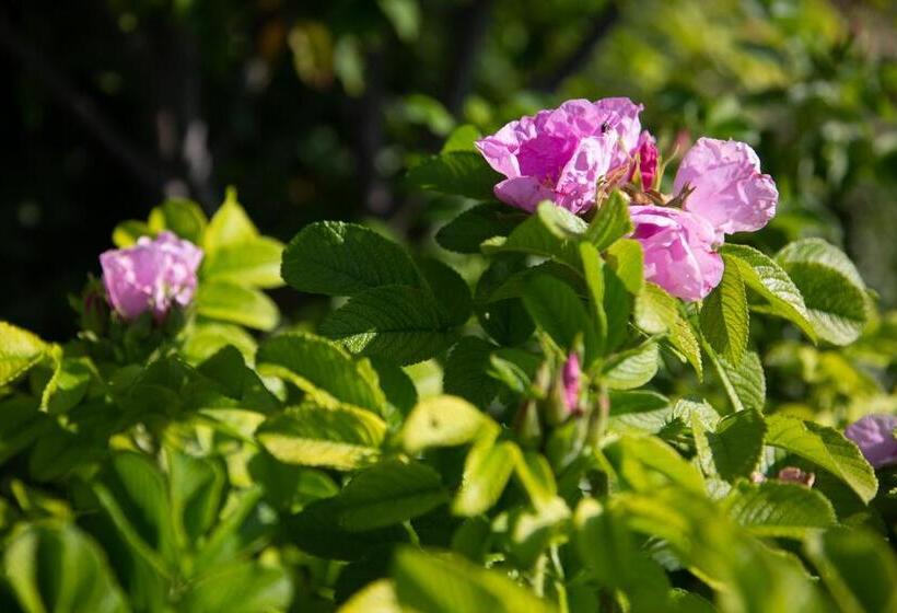 Сельский отель Agriturismo La Torricella