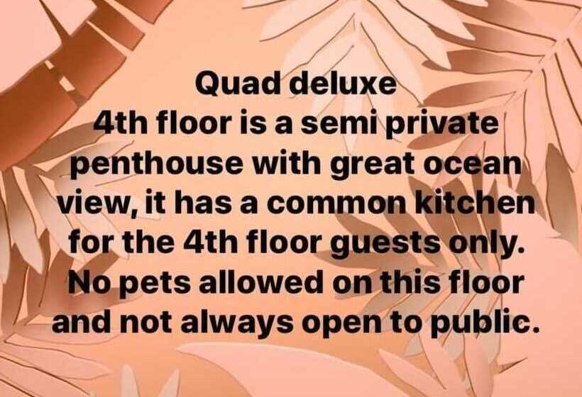 בית מלון כפרי Seabreeze Beach Lodge