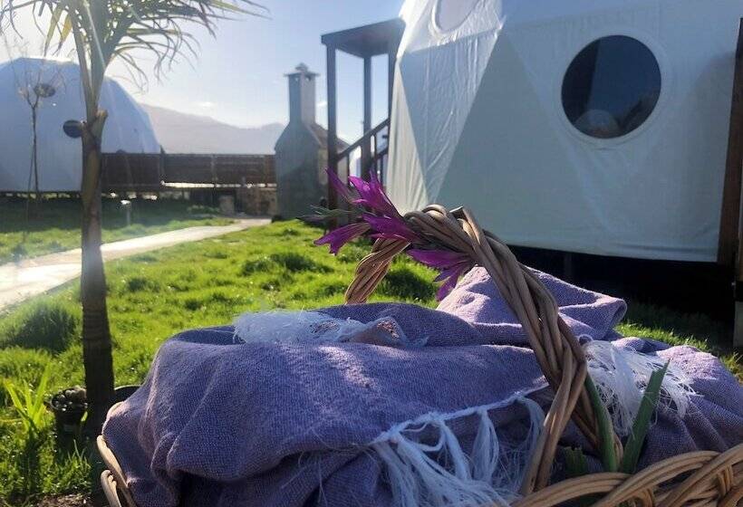 酒店 Soul Glamping