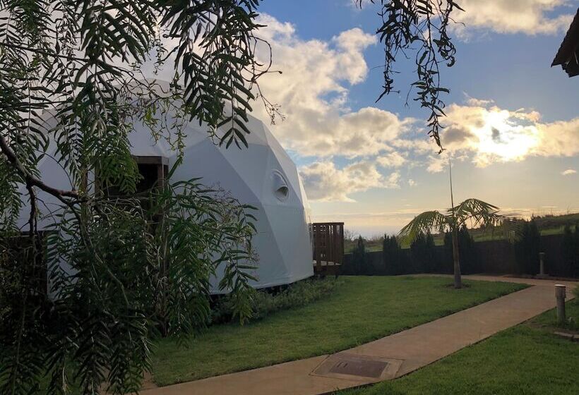 酒店 Soul Glamping