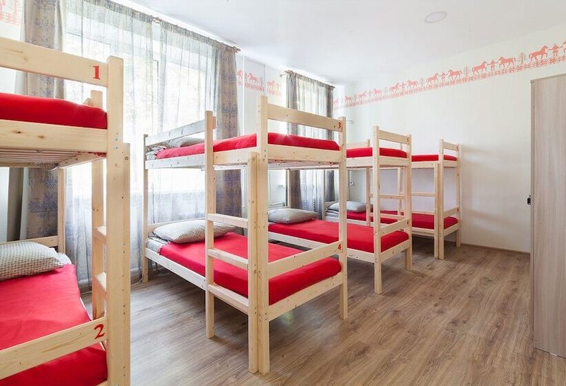 Ocharovannyy Strannik   Hostel