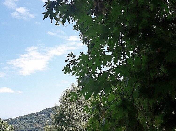 Пансион φιλυρέα   ενοικιαζόμενα δωμάτια