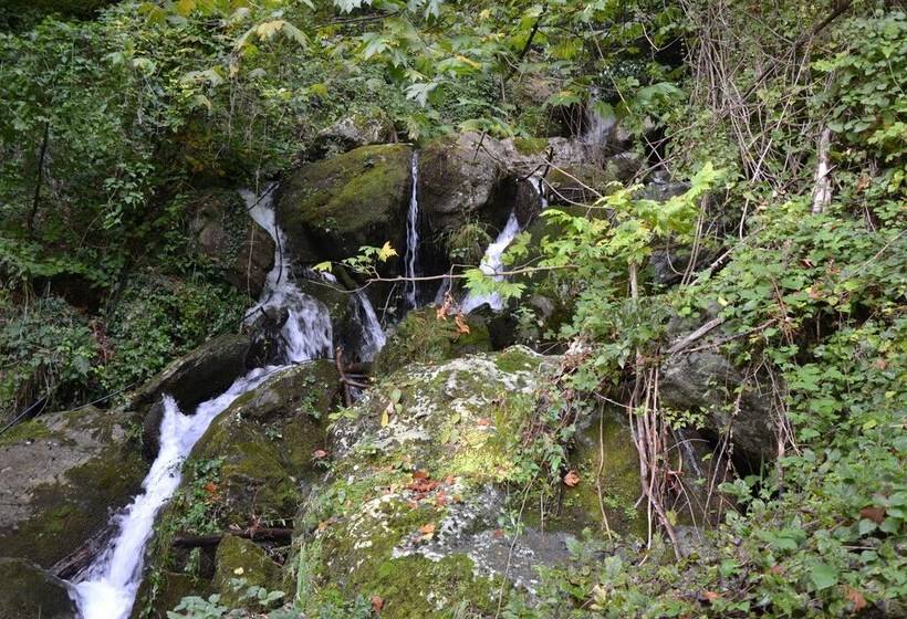 Пансион φιλυρέα   ενοικιαζόμενα δωμάτια