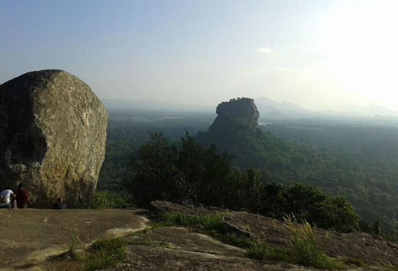 بنسيون Green Bamboo House