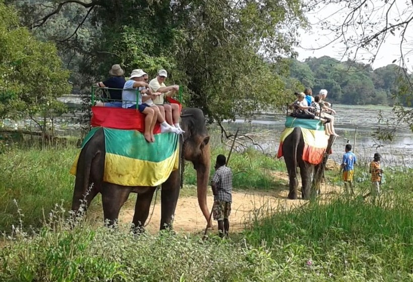 بنسيون Green Bamboo House