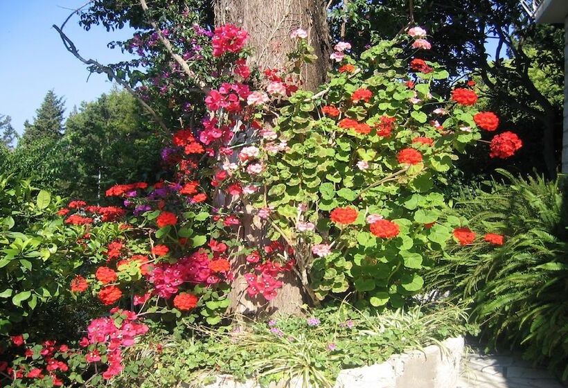 פנסיון Guest House Villa Nina