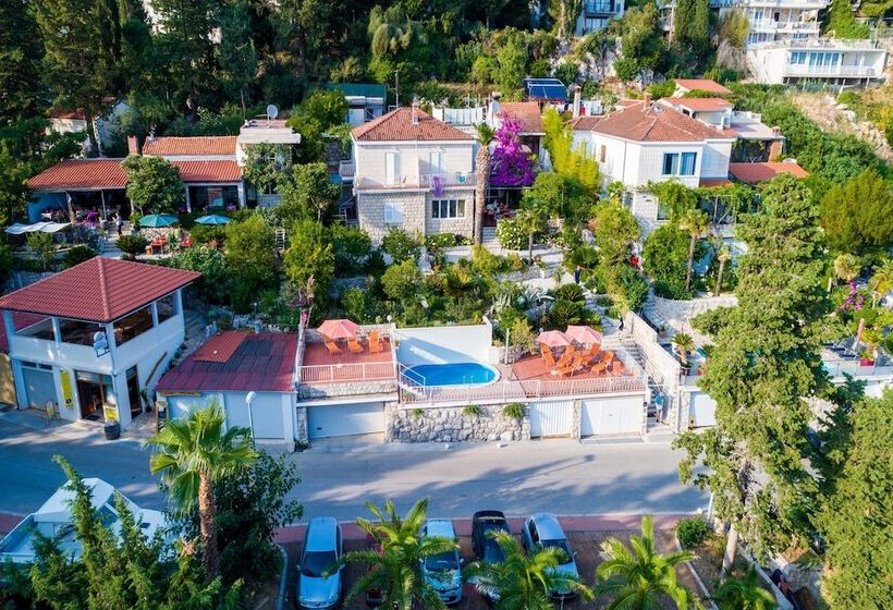 פנסיון Guest House Villa Nina