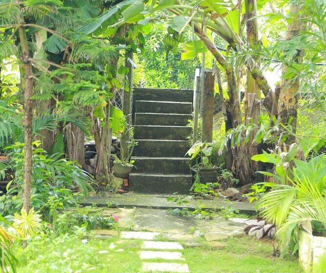 膳宿费 Osanda Guest