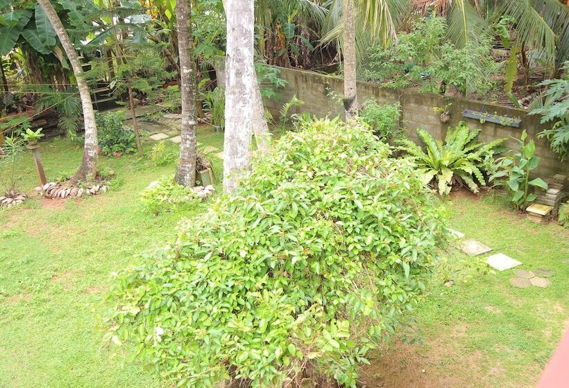 膳宿费 Osanda Guest