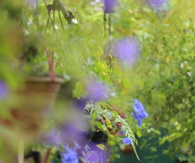 膳宿费 Osanda Guest