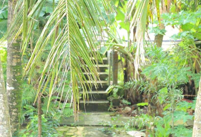 膳宿费 Osanda Guest