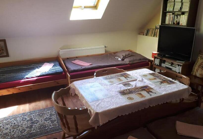 Panzió Penzion Hugo