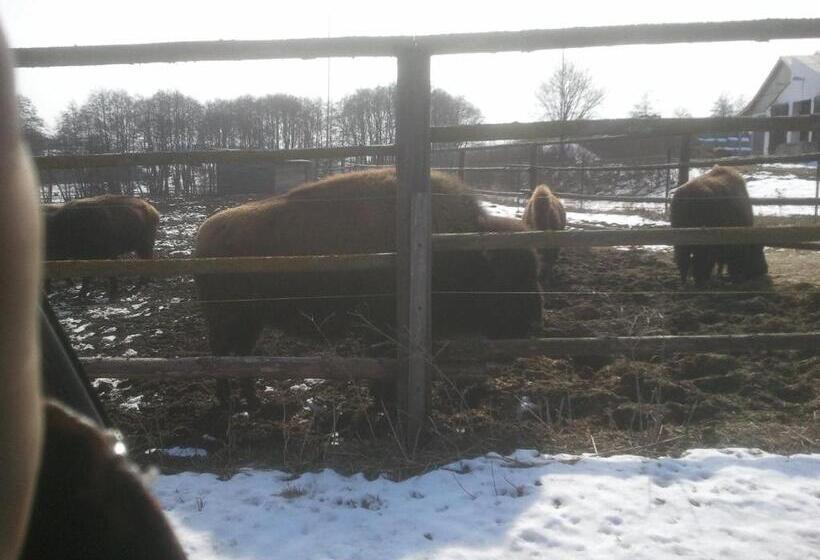 Panzió Penzion Hugo