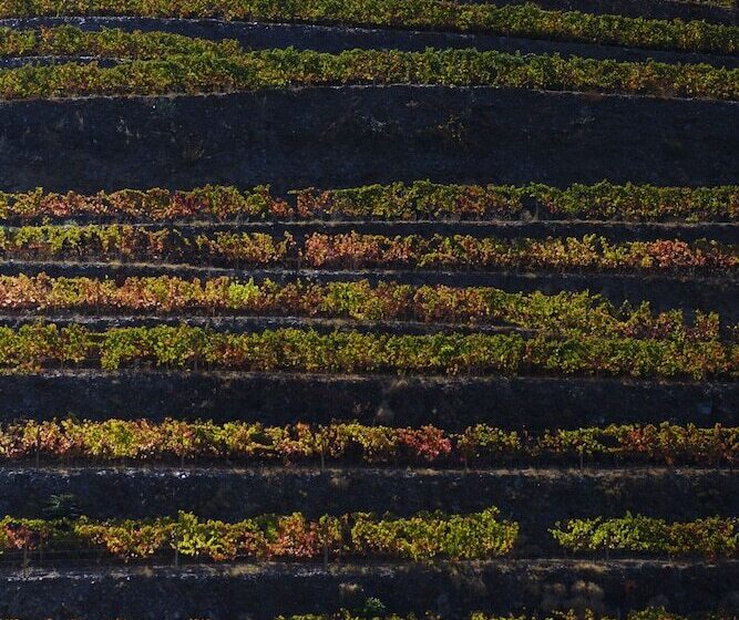 פנסיון Quinta Da Gricha