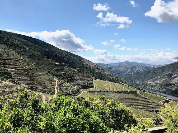 פנסיון Quinta Da Gricha