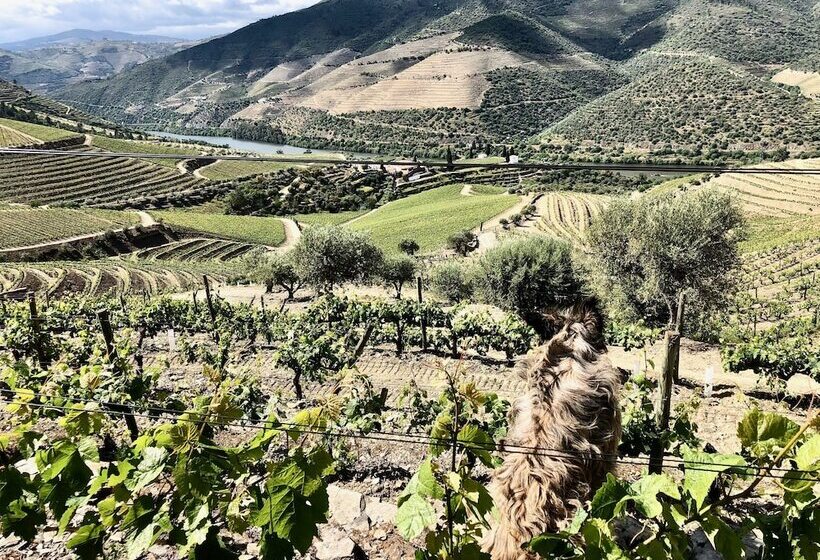 פנסיון Quinta Da Gricha