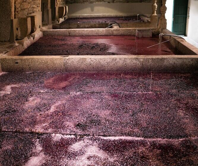 פנסיון Quinta Da Gricha