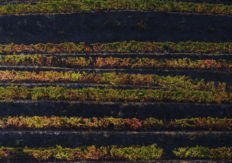 פנסיון Quinta Da Gricha