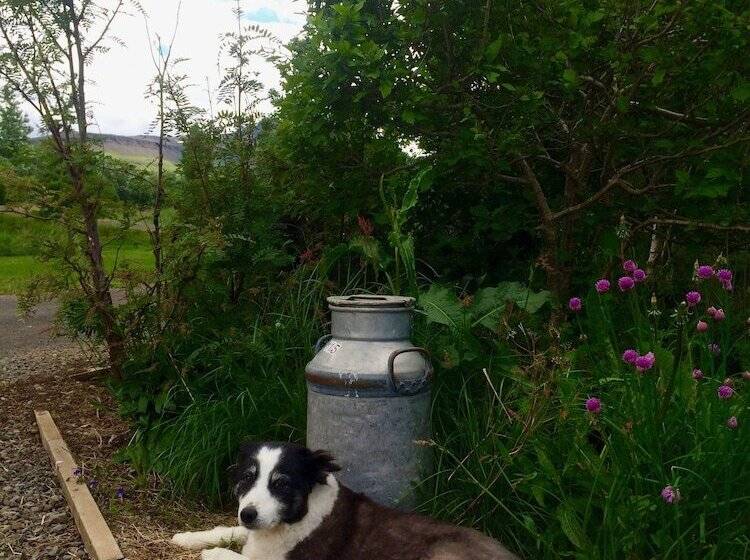 Pension ásar Guesthouse