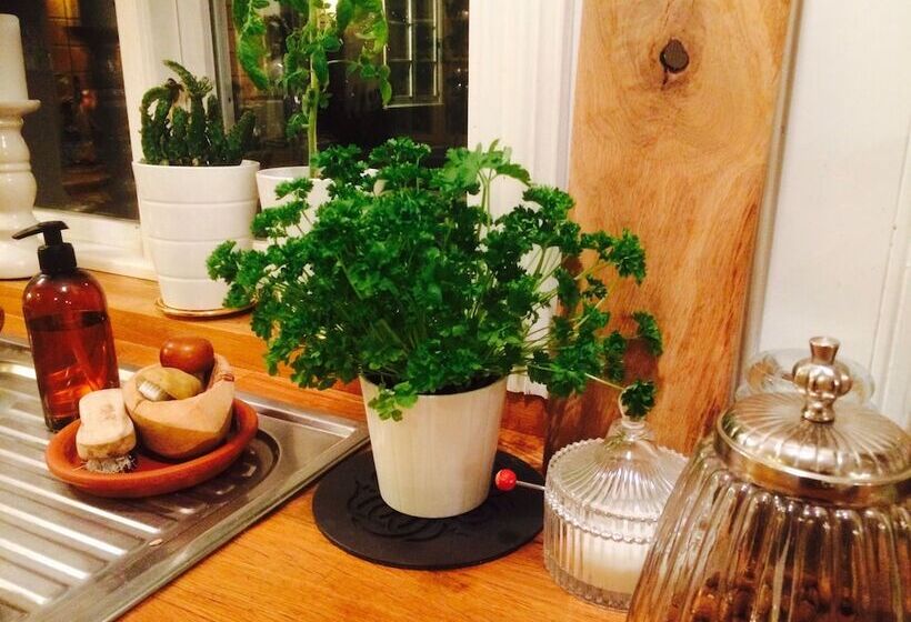 Pension ásar Guesthouse