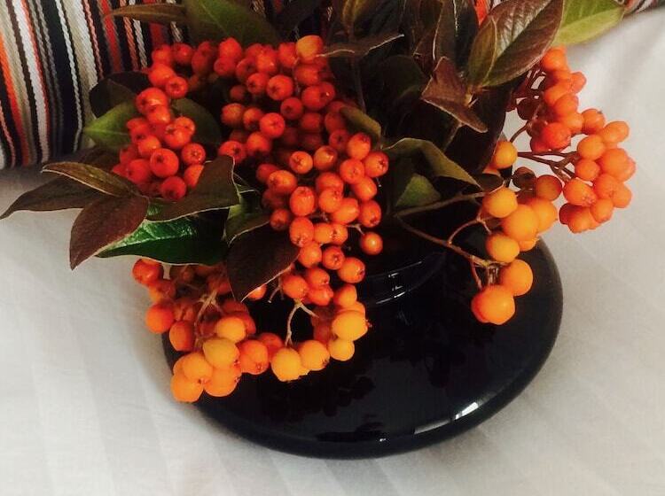 Pension ásar Guesthouse