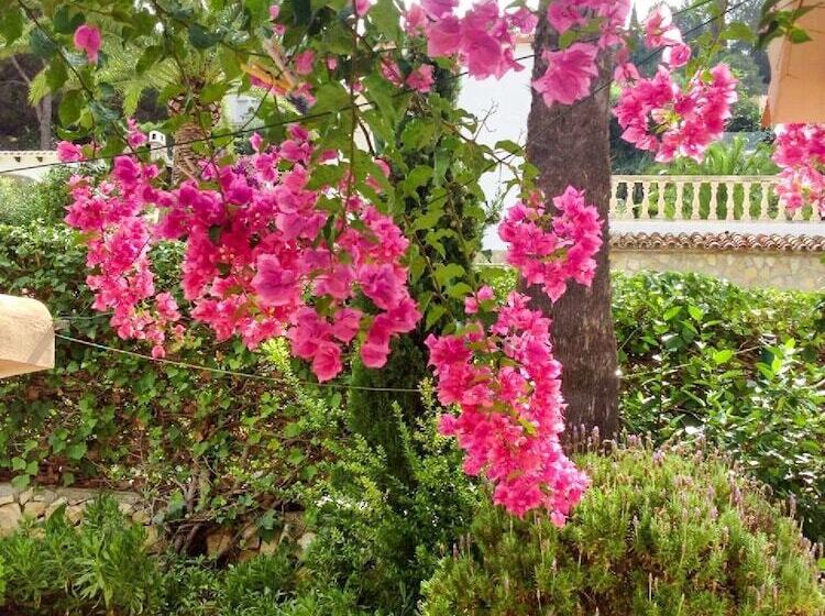 Bed and Breakfast Dolce Casa N41