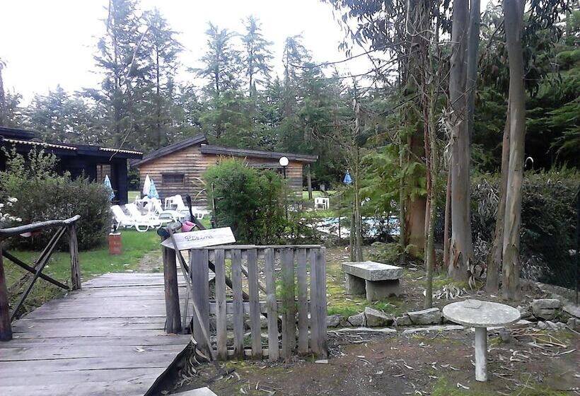 مبيت وإفطار Quinta Sul America