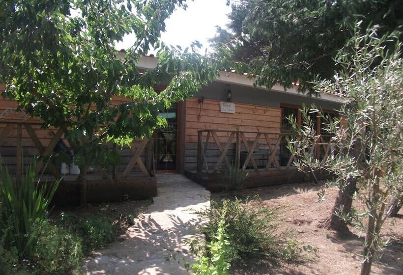 مبيت وإفطار Quinta Sul America