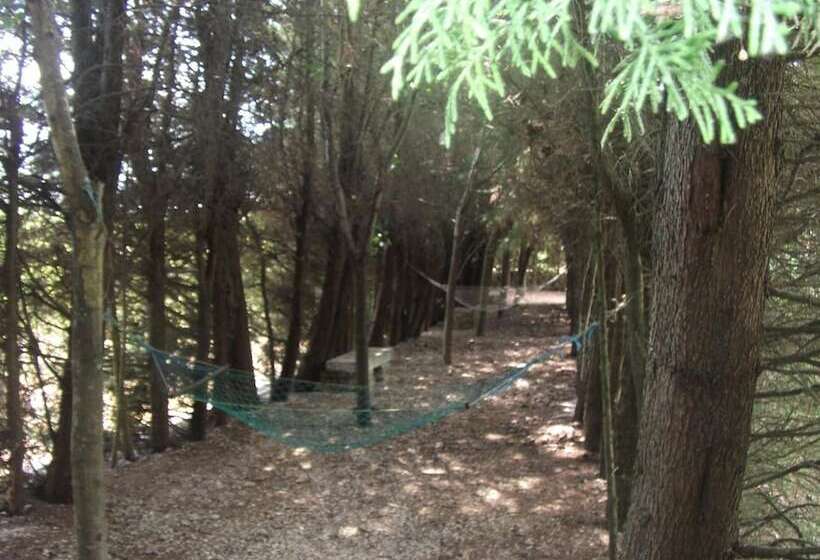 مبيت وإفطار Quinta Sul America