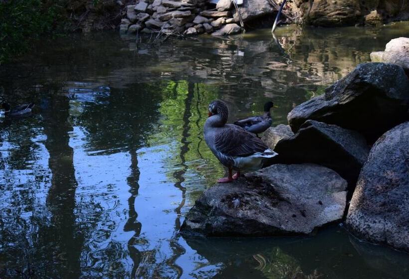 مبيت وإفطار Quinta Sul America