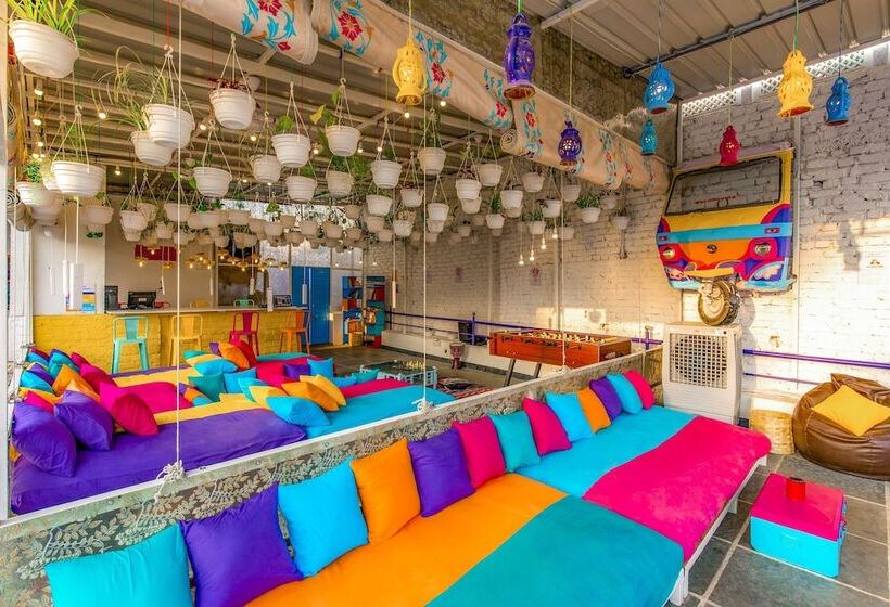 Gostops Udaipur   Hostel